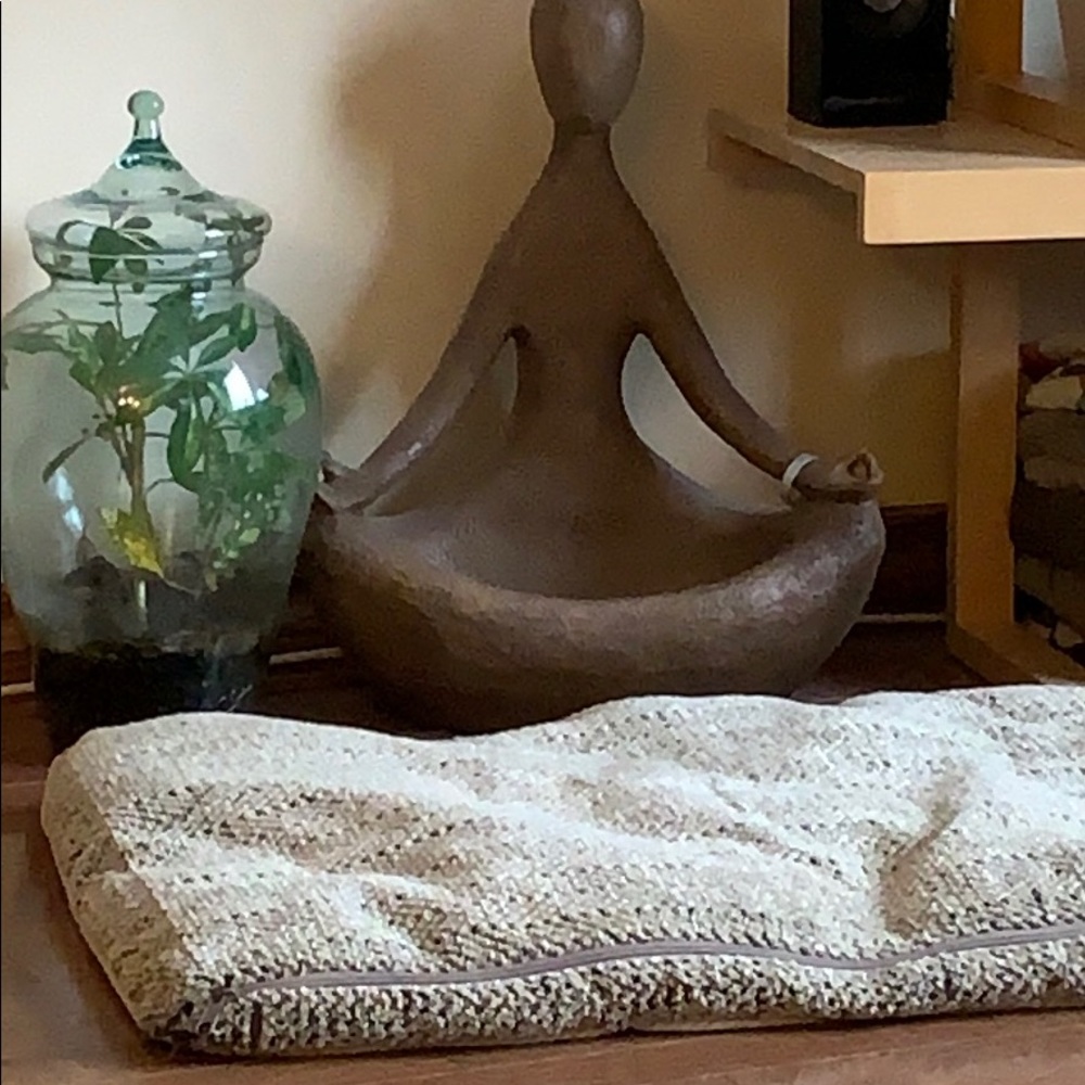 Meet your Posher, Janet